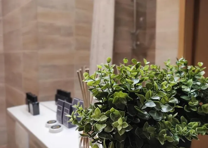 아파트 Sunny And 시베니크